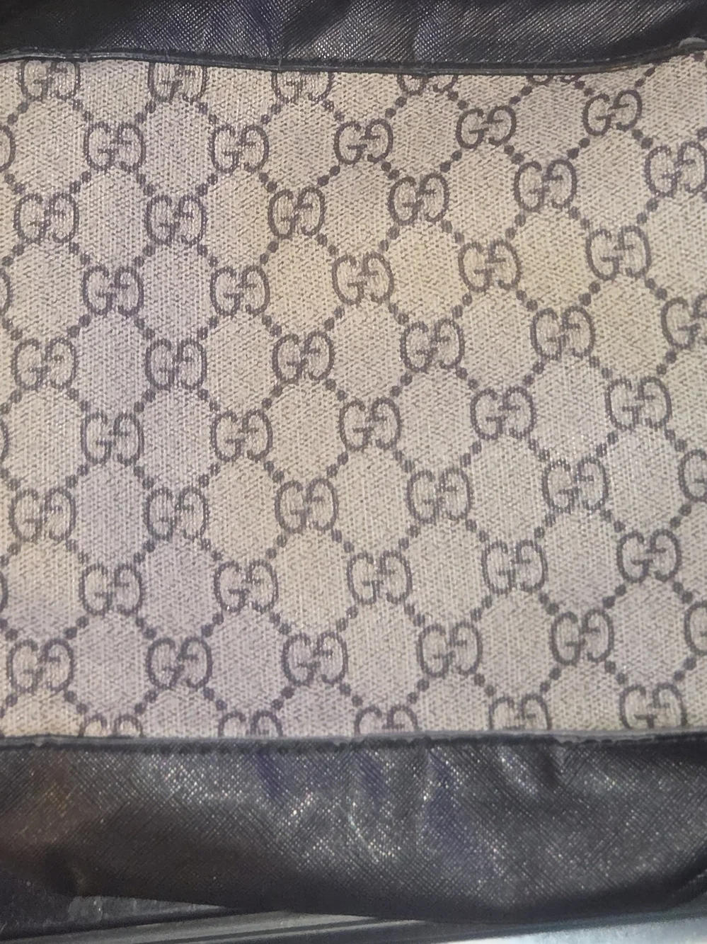 Gucci Cosmetic Canvas Bag